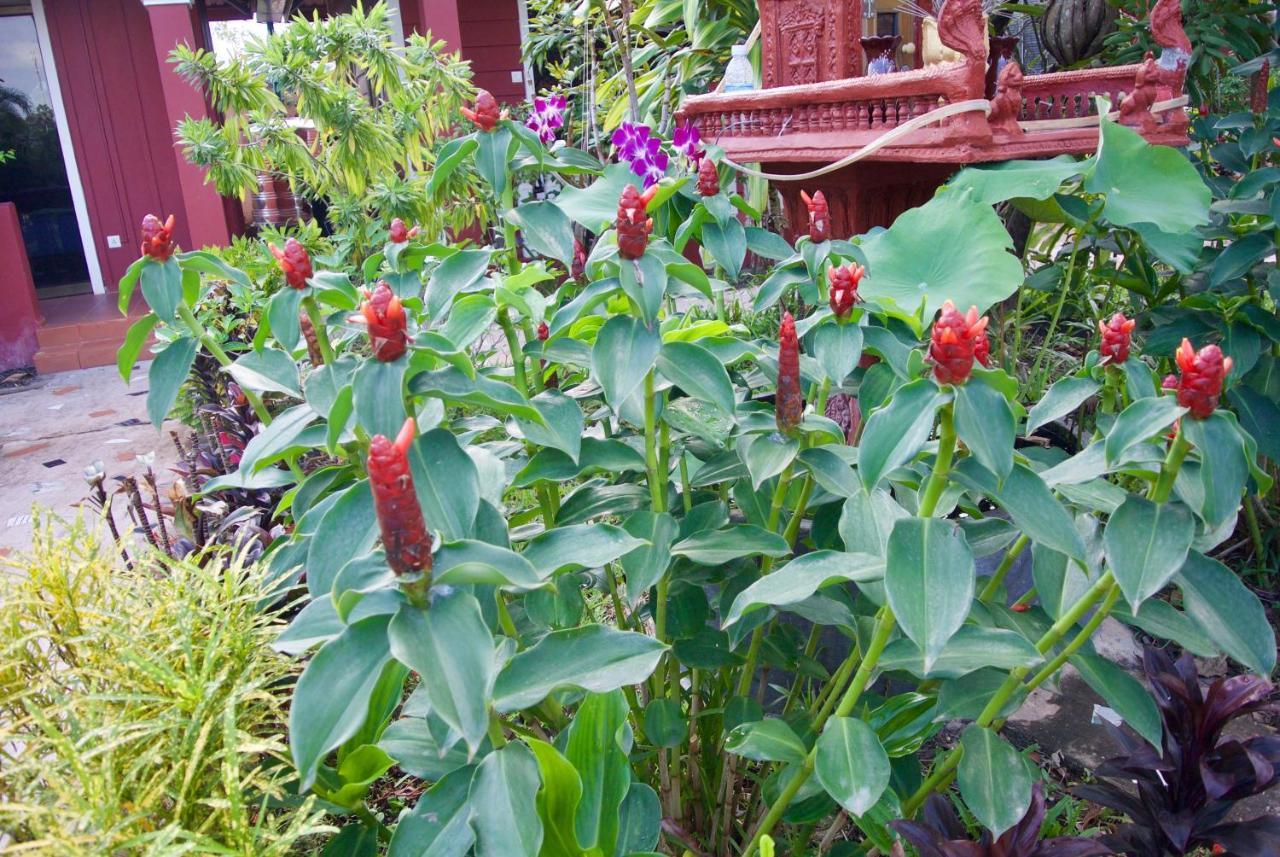 Phoumrumduol Bungalow Kampot Εξωτερικό φωτογραφία