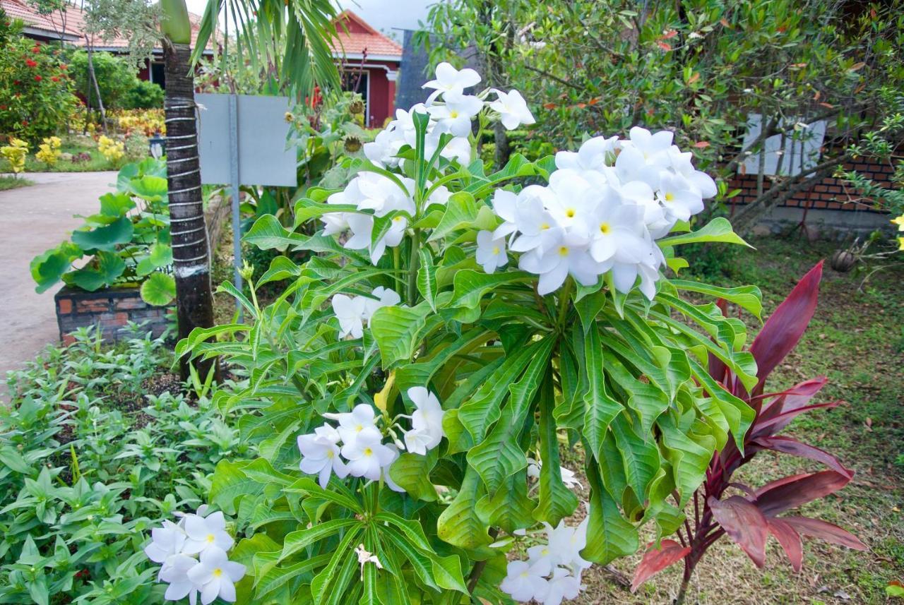 Phoumrumduol Bungalow Kampot Εξωτερικό φωτογραφία
