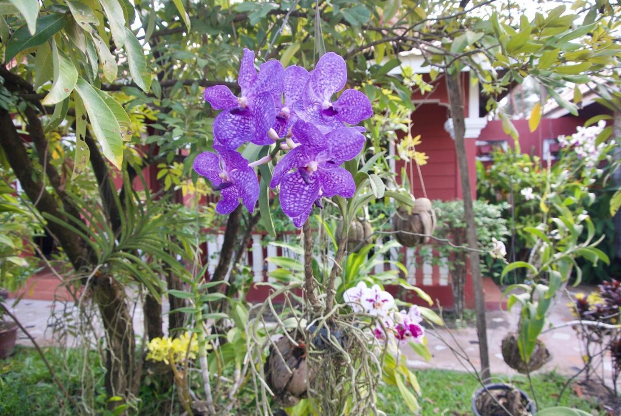 Phoumrumduol Bungalow Kampot Εξωτερικό φωτογραφία